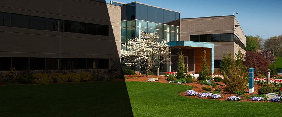 Mondovi Landscapers