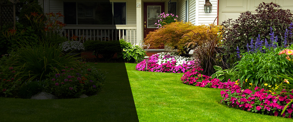 Mondovi Landscapers