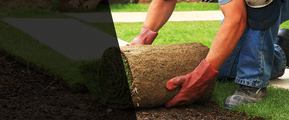 Mondovi Landscapers